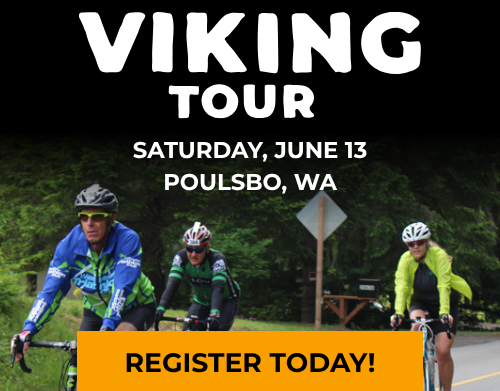 Viking Tour Digital Ad - Riders (500 x 500 px)